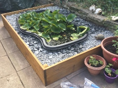 Pond Enclosure