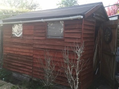 Shed Repair